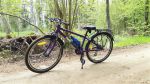 Bagażnik zamontowany na rowerze Frog 62 (24")